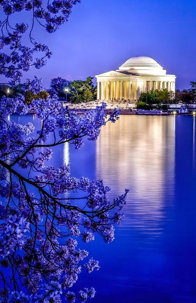 Perry, William 아티스트의 The Jefferson Memorial with cherry blossoms at the Tidal Basin-Washington DC작품입니다.